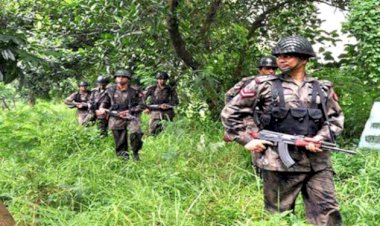 বিজিবির জন্য কেনা হচ্ছে সাউন্ড গ্রেনেড-টিয়ারশেল