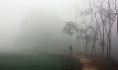 টানা ২ দিন ধরে দেশের সর্বনিম্ন তাপমাত্রা শ্রীমঙ্গলে