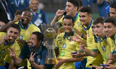 আর্জেন্টিনার স্বপ্নভঙ্গ, চ্যাম্পিয়ন ব্রাজিল