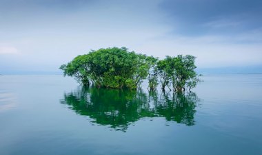 বাংলাদেশের প্রাকৃতিক সৌন্দর্য