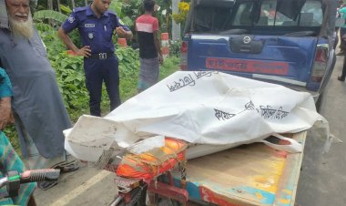 খাদে গরুবাহী ট্রাক, প্রাণ গেল ২ ব্যবসায়ীর