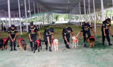 ফাঁকা ঢাকার নিরাপত্তায় বেড়েছে গোয়েন্দা নজরদারি