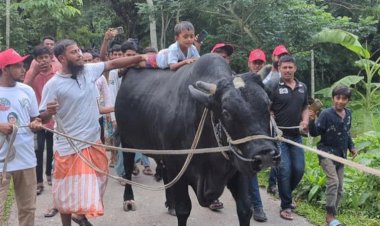 সেই সোহাগের আর কিছু চাওয়ার নেই