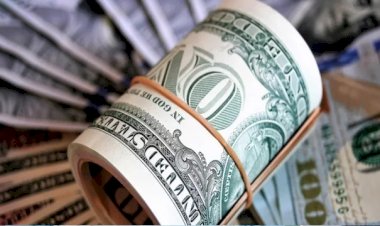 ফের বাড়ল রিজার্ভ