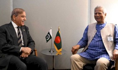 ইউনূস-শেহবাজ বৈঠকে যে আলোচনা হলো