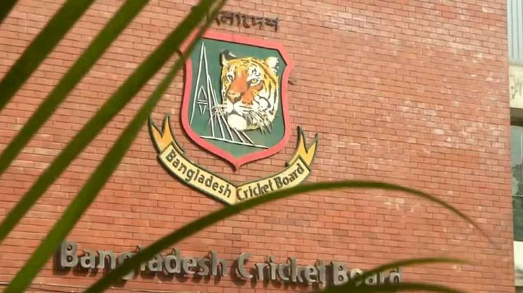 বিসিবি পরিচালক পদে জয়ী হলেন যারা